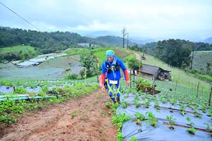 BIB: 1090
                            <button type="button" onclick="openModal(13378480)" class="btn btn-primary btn-sm float-right btn-popup" data-toggle="modal" data-target=".modal-high-quality">
                        <i class="fas fa-shopping-cart"></i> Add to Cart
                    </button>
                                            <button type="button" onclick="isThisMe(13378480, true)" class="btn btn-success btn-sm float-right btn-popup btn-isme hidden" data-toggle="tooltip" data-placement="bottom" title="นี่คือรูปของคุณใช่ไหม คลิกที่นี่เพื่อเอาเข้าอัลบั้ม">
                        <i class="fas fa-plus"></i> Add to album
                    </button>
                    <button type="button" onclick="isThisMe(13378480, false)" class="btn btn-warning btn-sm float-right btn-popup btn-isnotme hidden">
                        <i class="fas fa-ban"></i> Remove from album
                    </button>